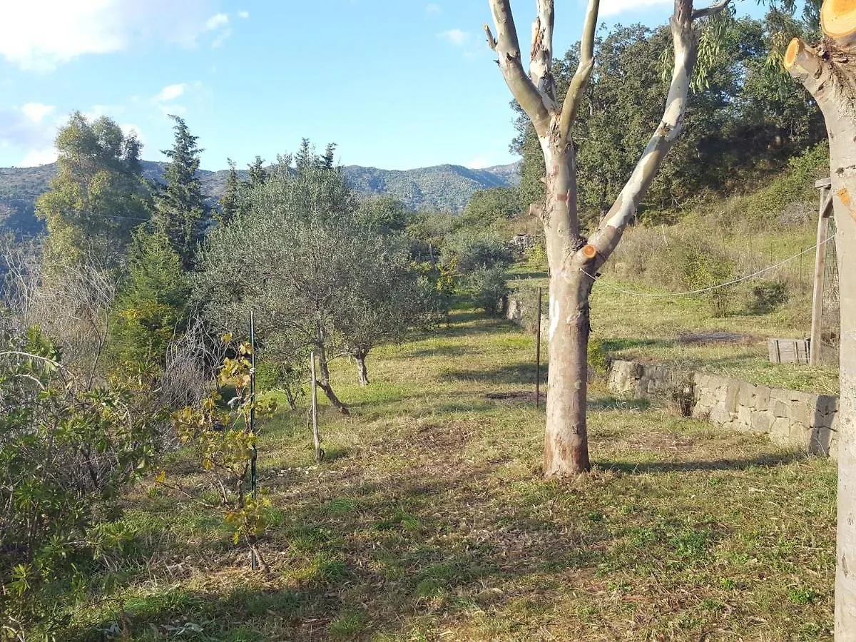 Casa Motta Camastra, Panoramahouses, Prive Zwembad En Free Wifi Linguaglossa Holiday home